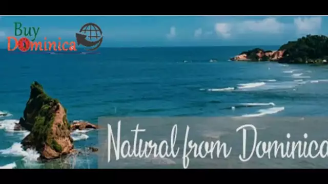 This Week In Interview S11E10