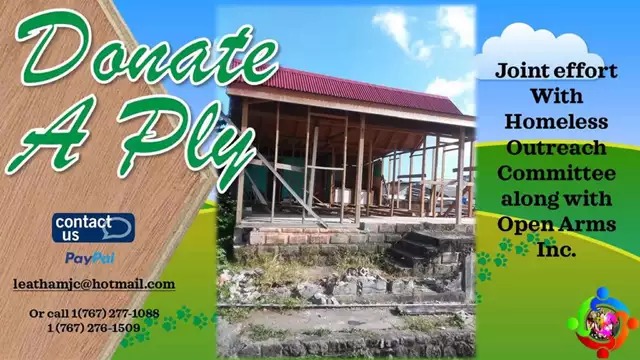 This Week In Interview S11E34