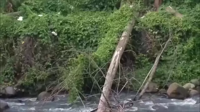 This Week in Interview - S12E26 - World Rivers Day Special