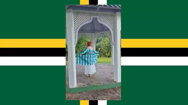 TDNTv on 02-Oct-24-20:02:43